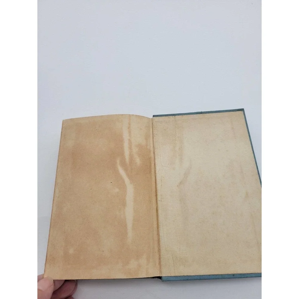 Vintage Edward P Roe THE‎ HORNET'S NEST 1892 Decorative Hardcover